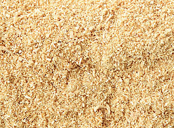 Person Platzhalter Bild