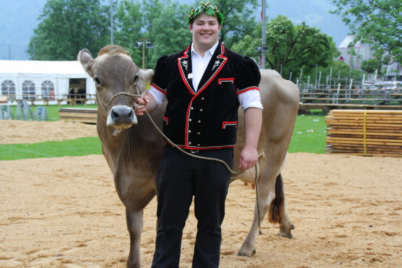Domenic Schneider, Festsieger 2015