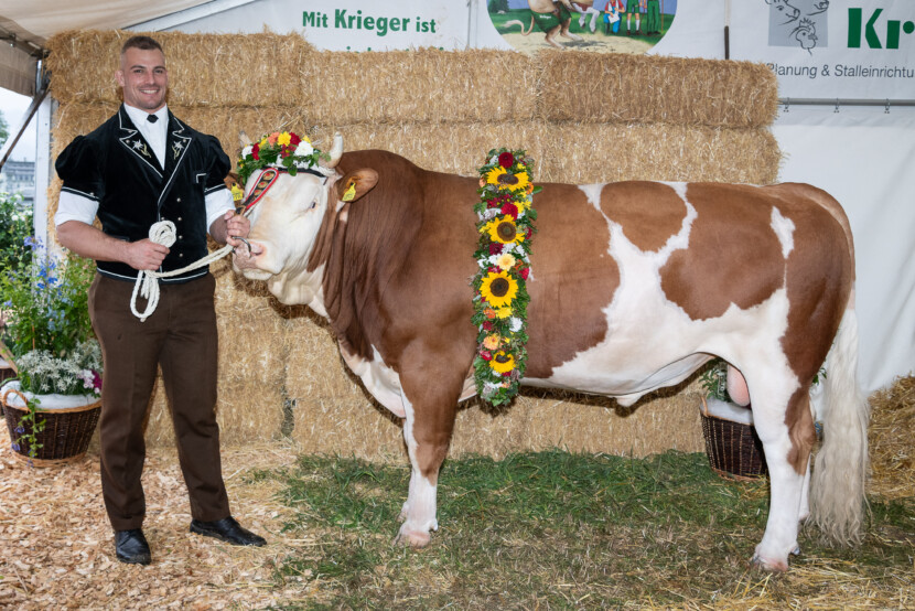 Interlaken, 27.8.23, Schwingen - Unspunnen.